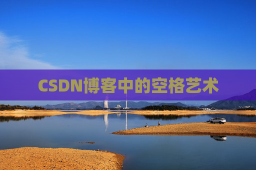 CSDN博客中的空格艺术